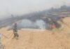 مهار دو حادثه آتشسوزی در اراضی کشاورزی شهرستان مهران