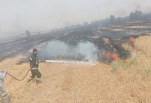 مهار دو حادثه آتشسوزی در اراضی کشاورزی شهرستان مهران