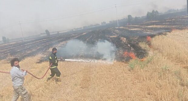مهار دو حادثه آتش‌سوزی در اراضی کشاورزی شهرستان مهران