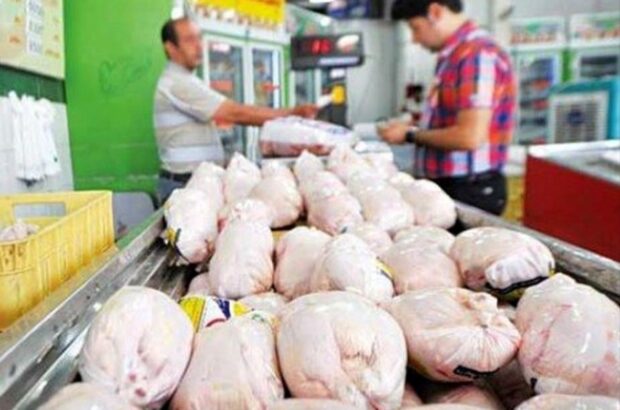 رصد اطلاعاتی اخلالگران بازار مرغ در ایلام توسط اطلاعات سپاه مورد تقدیر است رصد اطلاعاتی اخلالگران بازار مرغ در ایلام توسط اطلاعات سپاه مورد تقدیر است