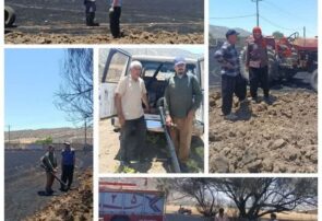 ۱.۵ هکتار محصول گندم در کام آتش فرو رفت