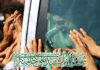 شکوهِ مرگِ سرخی که از سایهی هیچ طوفانی نگریخت