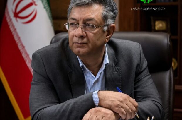 کمیته رصد بازار با ساختار کشوری در ایلام مستقر شد